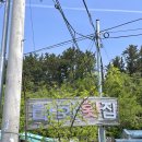 포항 스카이워크, 이가리닻전망대, 태화횟집 물회, 시민제과, 유강엄마손김밥, 구룡포, 까멜리아, 호미곶