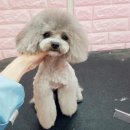 은자살롱 이미지