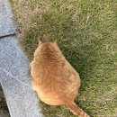 반갑습니다 조수민입니다
