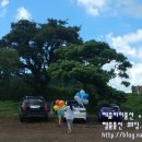 풍선목장 이미지