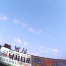 올스타낚시타운