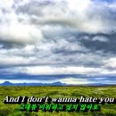 Patty Smyth &amp; Don Henley - Sometimes Love Just Ain't Enough 이미지