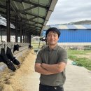 토끼실목장 이미지