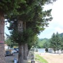 대기리산촌체험학교 야영장 네이버블로그