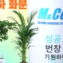 아이맘약국 이미지