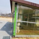 한국원자력환경공단코라디움 네이버블로그