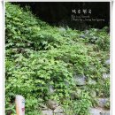 [지리산 둘레길] 1박2일, 지리산 둘레길을 걷다(4코스) 이미지