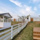 부엉이 농장 이미지