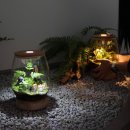 깊은시간 이미지