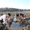 골든펜션 이미지