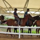 장수목장2 이미지