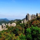 우리동네여행사