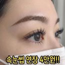 속눈썹집