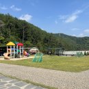 대암 팜트리 이미지