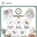 달래홀릭 이미지