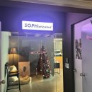 신바람 할인매장 | 범계 카페 범계 신상 카페 소프 범계 디저트 초코퍼지 후기