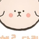 헬로 다키 이미지