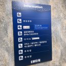 벌크커피메디컬