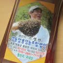 영동양봉영농조합 이미지