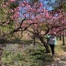 东山村~北京植物园(동산촌~북경식물원) 이미지