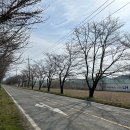 과학남로 이미지