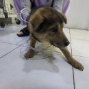 성산1리 이미지