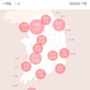 SK인천석유화학 벚꽃동산 주차/ 포토존 꿀팁