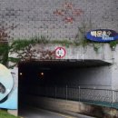 수원-0181 이미지