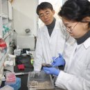 울산대학교 산업대학원 이미지