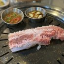 모던꿀꿀