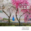 도진 이미지