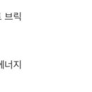 까멜리아 이미지