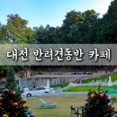 드르쿰다제주 이미지