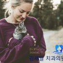 김세일치과의원 네이버블로그