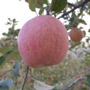 수덕농장 이미지