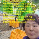 진솔이네포도