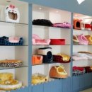 펫 갤러리아 이미지