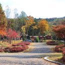 울산EDA승마장 이미지