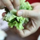 쉐르빌 당구장 이미지