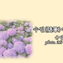 (동영상 및 글)수필隨筆이란 말, 유담 유형준 이미지