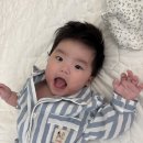 패밀리(FAMILY) | [Family] 패밀리잠옷 |꼬숑파자마 후기 🧑‍🧑‍🧒🩵