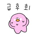 듀오필라테스