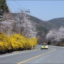 청솔주유소 이미지