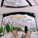 칠포그린로즈펜션야영장 | 대구 근교 캠핑장 포항 벚꽃 장박 캠핑 명소 칠포그린로즈