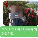 하단동1164 이미지