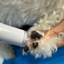 이을동물병원 이미지