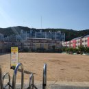 용호초등학교사거리 이미지