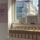 예예피아노 이미지