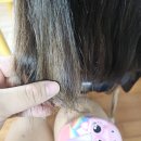 지엘어린이집 | 우리 아이 머릿결 관리는 탱글티저 오리지널 미니 키즈!