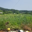 송악읍 중흥리 721 네이버블로그